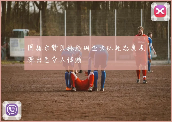 图赫尔赞贝林厄姆全力以赴态度表现出色令人信赖