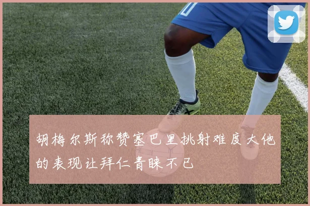 胡梅尔斯称赞塞巴里挑射难度大他的表现让拜仁青睐不已